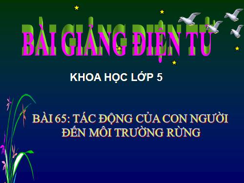 Bài 65. Tác động của con người đến môi trường rừng