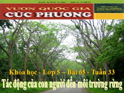 Bài 65. Tác động của con người đến môi trường rừng