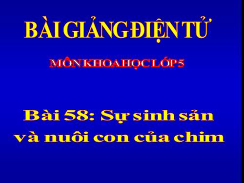 Bài 58. Sự sinh sản và nuôi con của chim