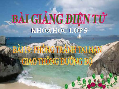 Bài 19. Phòng tránh tai nạn giao thông đường bộ