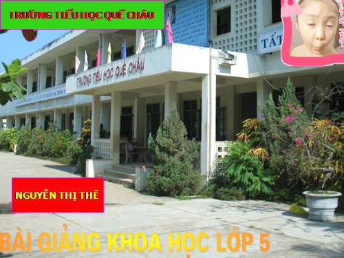 Bài 67. Tác động của con người đến môi trường không khí và nước