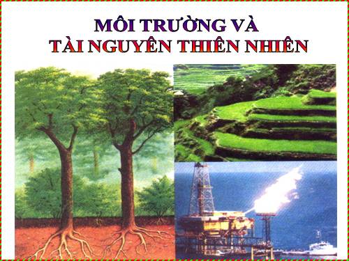 Bài 62. Môi trường