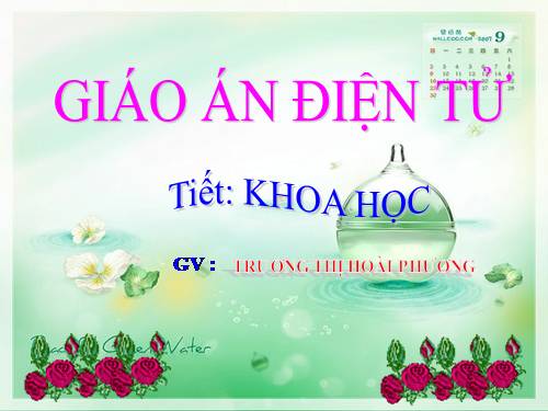 Bài 58. Sự sinh sản và nuôi con của chim