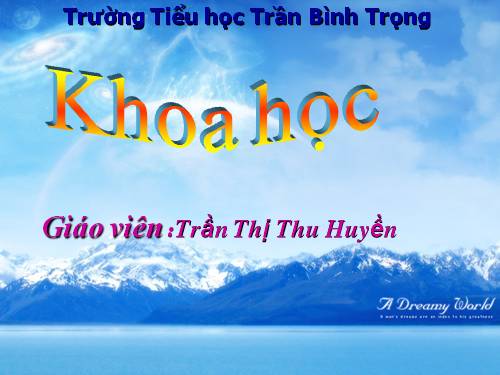 Bài 53. Cây con mọc lên từ hạt