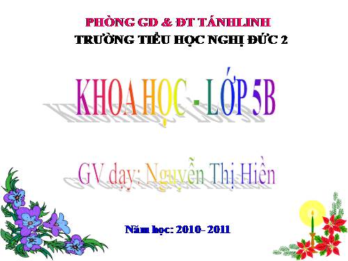 Bài 62. Môi trường