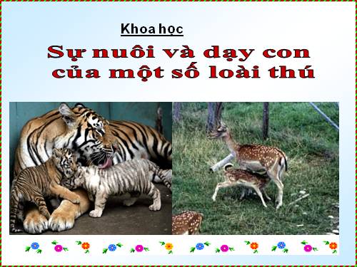 Bài 60. Sự nuôi và dạy con của một số loài thú