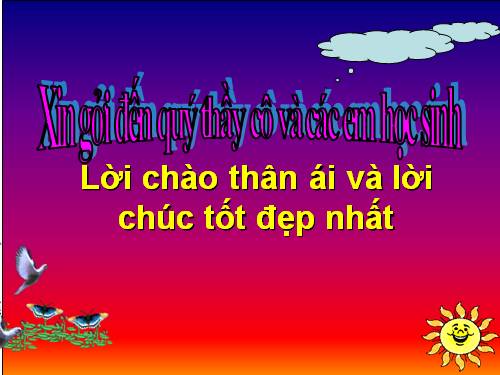 Bài 61. Ôn tập: Thực vật và động vật