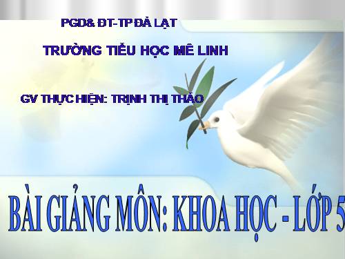 Bài 67. Tác động của con người đến môi trường không khí và nước
