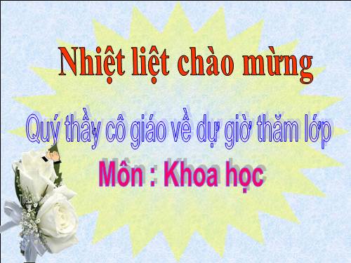Bài 60. Sự nuôi và dạy con của một số loài thú
