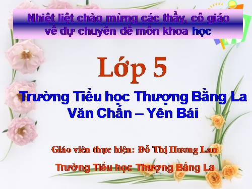 Bài 19. Phòng tránh tai nạn giao thông đường bộ