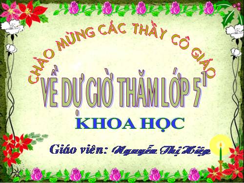 Bài 31. Chất dẻo