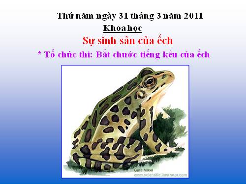 Bài 57. Sự sinh sản của ếch