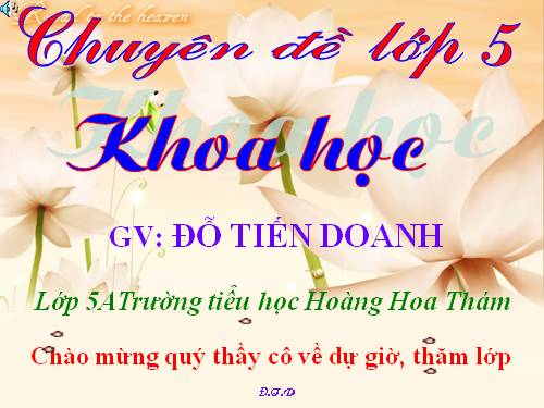 Bài 12. Phòng bệnh sốt rét