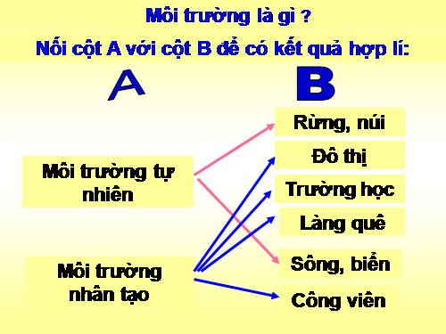 Bài 63. Tài nguyên thiên nhiên