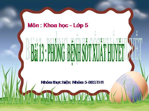 Bài 13. Phòng bệnh sốt xuất huyết