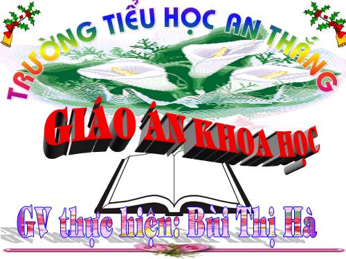 Bài 24. Đồng và hợp kim của đồng