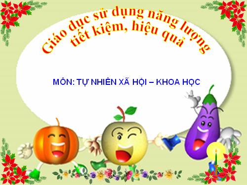 BÀI GIẢNG TẬP HUẤN VỀ SỬ DỤNG NĂNG LỰNG TIẾT KIỆM VÀ HIỆU QUẢ TYN&XH, KHOA HỌC