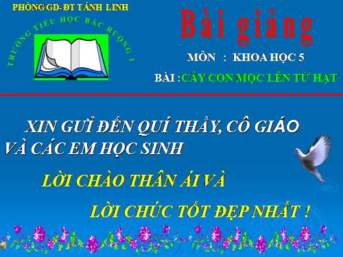 Bài 53. Cây con mọc lên từ hạt