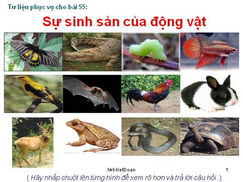 Bài 55. Sự sinh sản của động vật