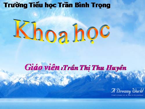 Bài 53. Cây con mọc lên từ hạt