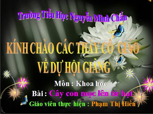 Bài 53. Cây con mọc lên từ hạt