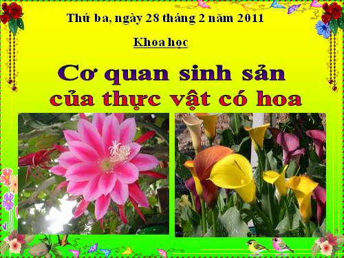 Bài 51. Cơ quan sinh sản của thực vật có hoa