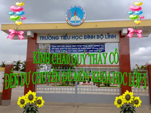 Bài 52. Sự sinh sản của thực vật có hoa