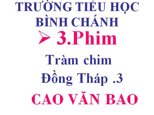 Phim Tràm chi Đồng tháp -3