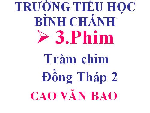 Phim Tràm chim Đồng Tháp 2