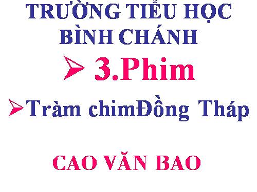 Phim Tràm chim Đồng Tháp