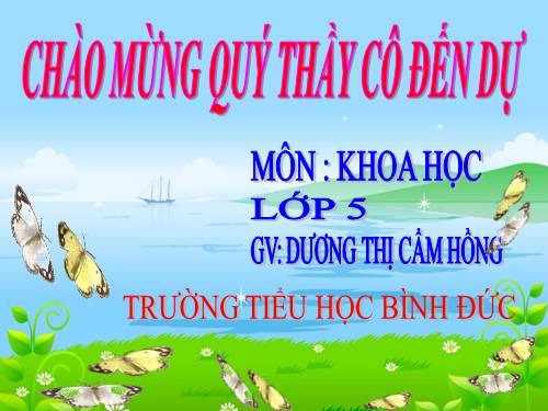 Bài 51. Cơ quan sinh sản của thực vật có hoa