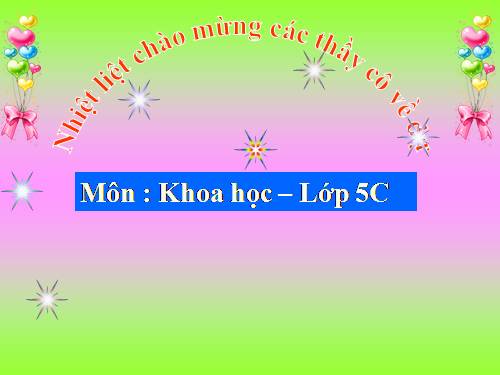 Bài 53. Cây con mọc lên từ hạt