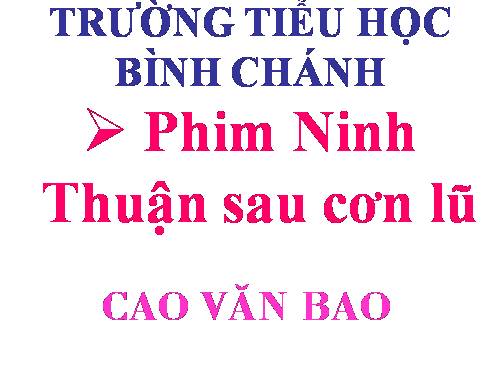 Ninh thuận sau cơn lũ