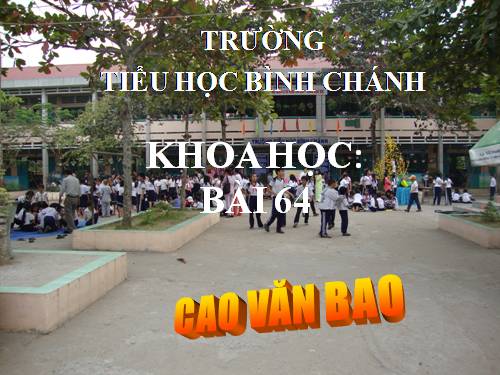 Bài 64. Vai trò của môi trường tự nhiên đối với đời sống con người