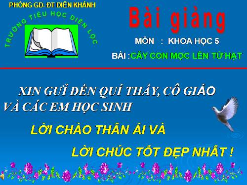 Bài 53. Cây con mọc lên từ hạt