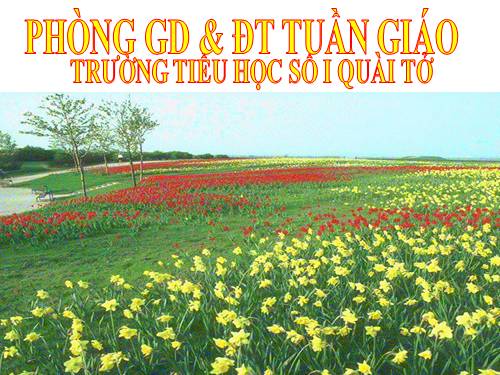 Bài 61. Ôn tập: Thực vật và động vật