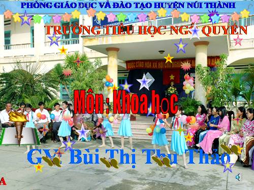 Bài 31. Chất dẻo