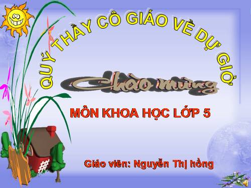 Bài 33-34. Ôn tập và Kiểm tra học kì I