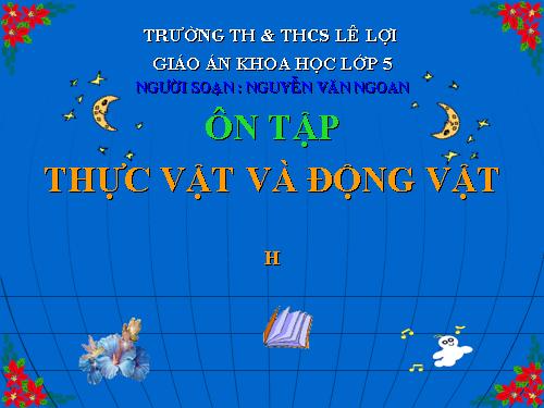 Bài 61. Ôn tập: Thực vật và động vật