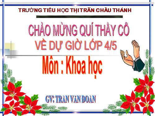 Bài 26. Đá vôi