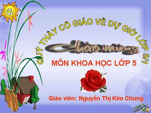 Bài 27. Gốm xây dựng: gạch, ngói