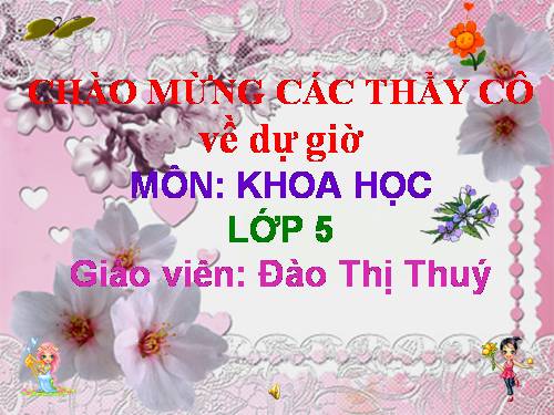 Bài 28. Xi măng