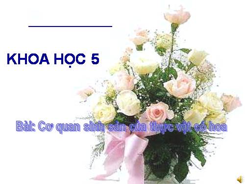 Bài 51. Cơ quan sinh sản của thực vật có hoa