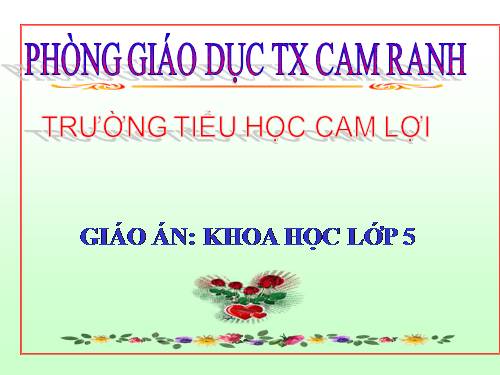 Bài 19. Phòng tránh tai nạn giao thông đường bộ