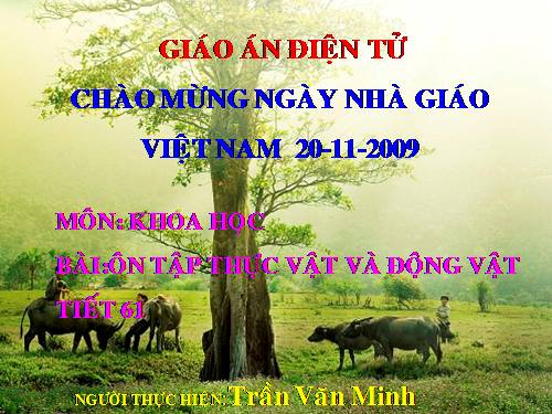 Bài 61. Ôn tập: Thực vật và động vật