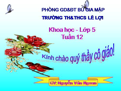 Bài 24. Đồng và hợp kim của đồng