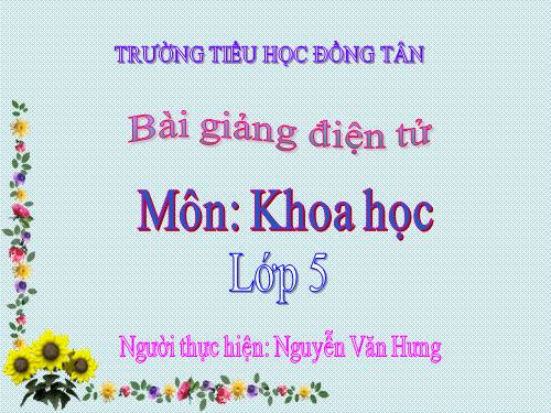 Bài 24. Đồng và hợp kim của đồng