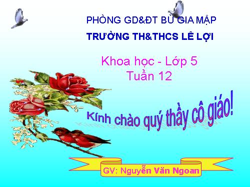 Bài 24. Đồng và hợp kim của đồng