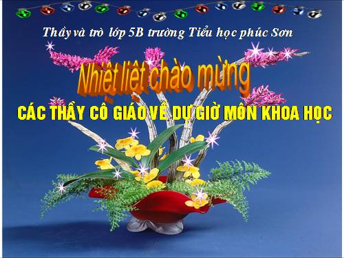 Bài 13. Phòng bệnh sốt xuất huyết