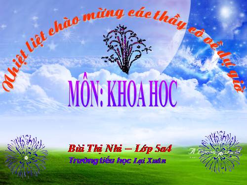 Bài 15. Phòng bệnh viêm gan A